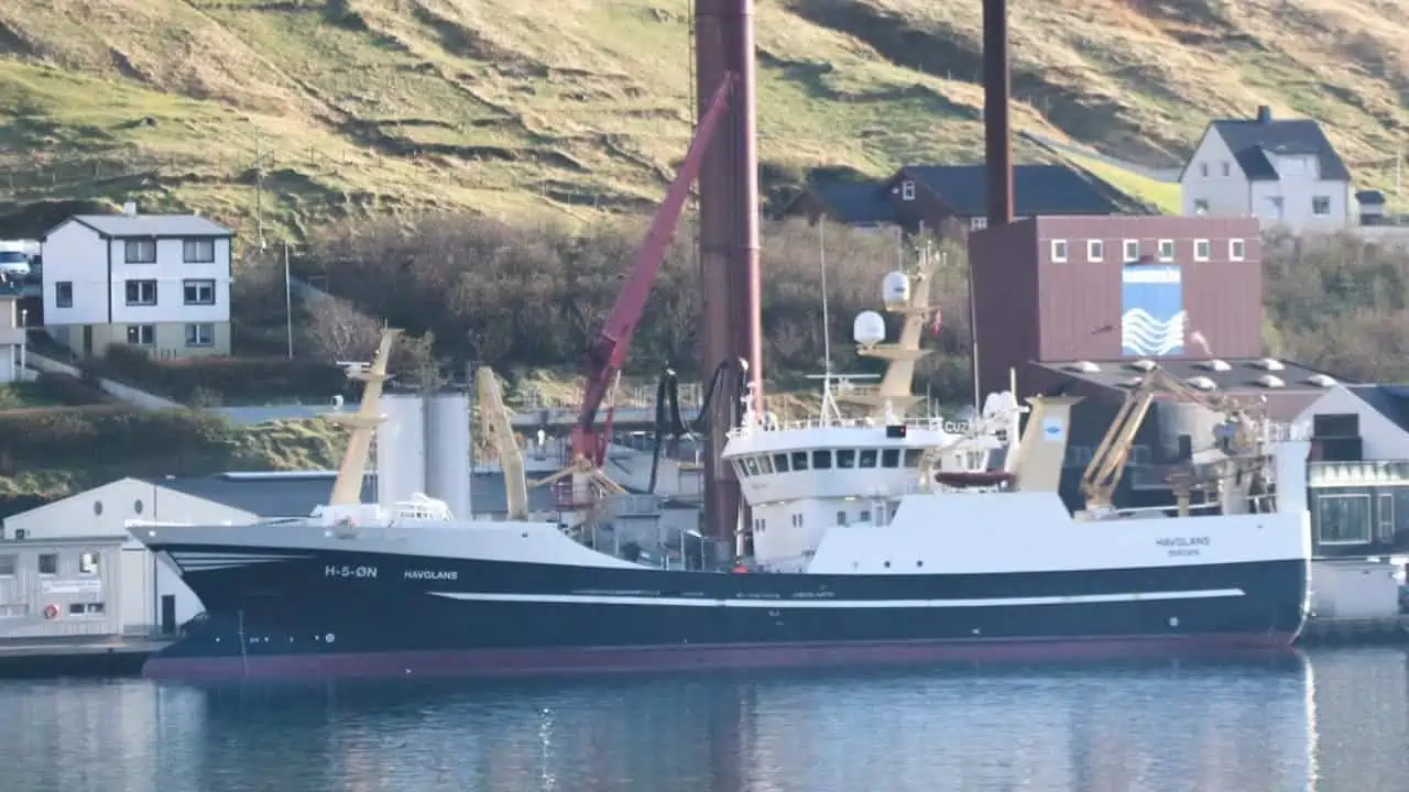 Read more about the article Færøerne: Sildefiskerne leverer til både industri og konsum