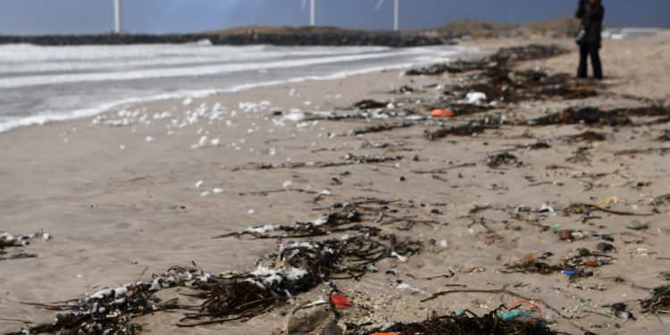 Havmiljøvogterne vinder europæisk pris foto: Havmiljovogter.dk