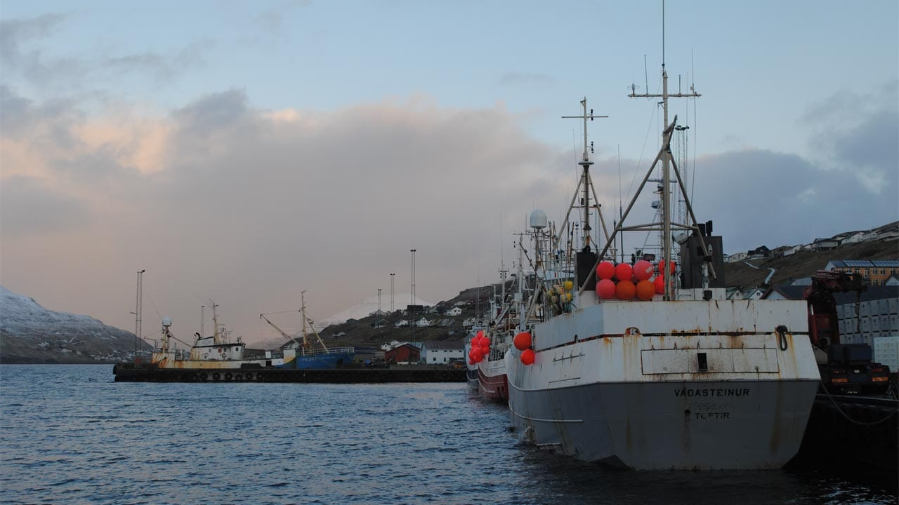 Read more about the article Færøerne: Line-fartøjerne på Færøerne leverer pæne fangster