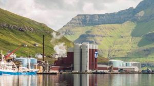 Industrifisk fra EU området landes til Havsbrún i Fuglefjord