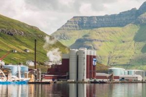 Industrifisk fra EU området landes til Havsbrún i Fuglefjord