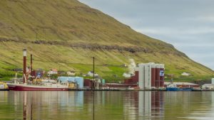 Der er landet både på Færøerne og på Island med største landing på 2.700 tons til Havsbrún i Fuglefjord. foto. Havsbrun