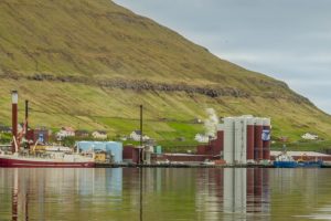 Der er landet både på Færøerne og på Island med største landing på 2.700 tons til Havsbrún i Fuglefjord. foto. Havsbrun