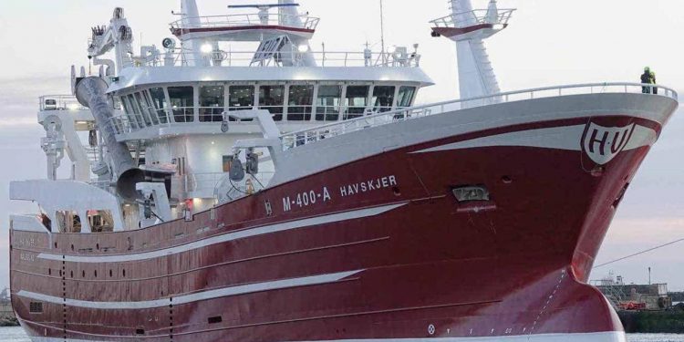 Lodde til konsum opnår rekordafregning på både 10 og 12 mio Nkr. til norske fartøjer foto: K. Bandholm - Karstensens skibsværft