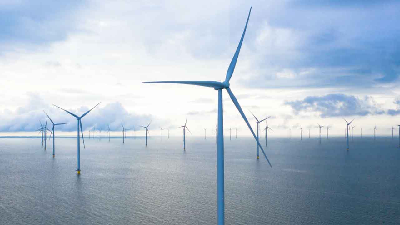 Read more about the article Holland foregår med godt eksempel: Fiskeri får plads – Danmark mangler modsvaret