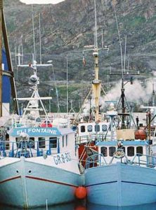 Grønlandsk fiskeri efter hellefisk går forrygende.  Foto: Mardy