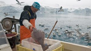 Corona-hjælp til grønlandske fiskere