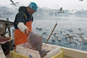 Corona-hjælp til grønlandske fiskere