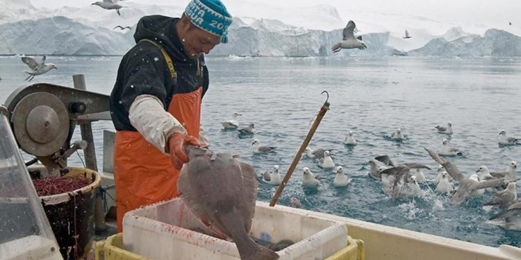 Corona-hjælp til grønlandske fiskere