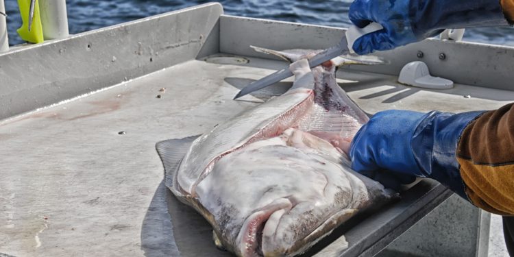 Provokationer fra de FÅ kan ødelægge det for de MANGE.. foto: FiskerForum.dk