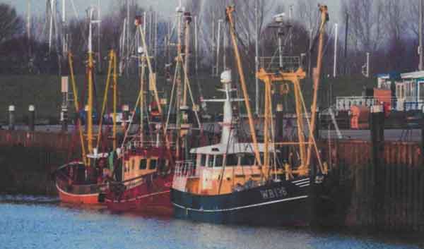 Read more about the article Rekordår for tyske hestereje-fiskere: Fangsterne fordoblet i Nordsøen