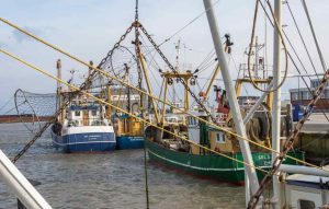 Et forældet sikkerhedsforbud mod krigstidsminer har fra den ene dag til den anden lagt hesterejefiskeriet på Rømø øde. Ifølge formanden for Sydvestjysk Fiskeriforening misbruger Danmarks Naturfredningsforening en uafklaret lovgivning til at stoppe trawlfiskeriet – på trods af, at de gamle bomber for længst er ufarlige. Han kræver nu en hurtig indgriben fra myndighederne side, før det koster samfundet på Rømø dyrt. foto: Rømø Havn