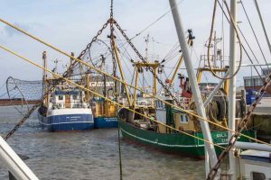 Et forældet sikkerhedsforbud mod krigstidsminer har fra den ene dag til den anden lagt hesterejefiskeriet på Rømø øde. Ifølge formanden for Sydvestjysk Fiskeriforening misbruger Danmarks Naturfredningsforening en uafklaret lovgivning til at stoppe trawlfiskeriet – på trods af, at de gamle bomber for længst er ufarlige. Han kræver nu en hurtig indgriben fra myndighederne side, før det koster samfundet på Rømø dyrt. foto: Rømø Havn
