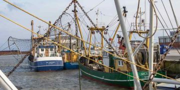 Et forældet sikkerhedsforbud mod krigstidsminer har fra den ene dag til den anden lagt hesterejefiskeriet på Rømø øde. Ifølge formanden for Sydvestjysk Fiskeriforening misbruger Danmarks Naturfredningsforening en uafklaret lovgivning til at stoppe trawlfiskeriet – på trods af, at de gamle bomber for længst er ufarlige. Han kræver nu en hurtig indgriben fra myndighederne side, før det koster samfundet på Rømø dyrt. foto: Rømø Havn