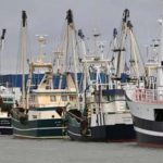 Esbjerg-fisker har succes med lavere brændstofforbrug og sparet arbejdstid samt uønsket bifangst Hesterejetrawlere - FiskerForum.dk