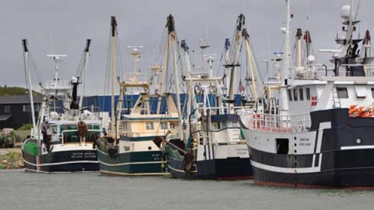 Read more about the article Håbet om et godt 2020 er bristet for Hestereje-fiskerne
