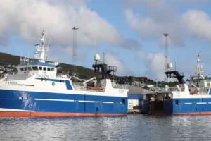 I Runavík landede partrawlerne **Heykur** og **Falkur** i sidste uge en samlet last på omkring 315.000 pund fisk, hvor langt størstedelen bestod af sej. foto: Kiran J