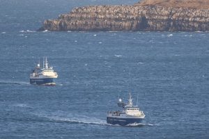 Færøerne: Partrawlerne har travlt med sej-fiskeriet foto: sverri Egholm