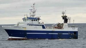 Runavík har også set imponerende landinger, hvor partrawlerne **Heykur** og **Falkur** landede hele 190 tons sej - foto: O joensen - fiskur.fo