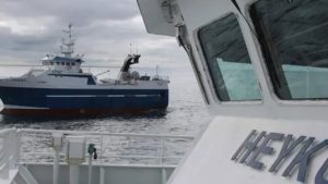 De færøske trawlere der partrawler efter sej for tiden, lander fornuftige fangster, blandt andet i Runavik, Hvalba og klaksvik foto: fiskur.fo / FS