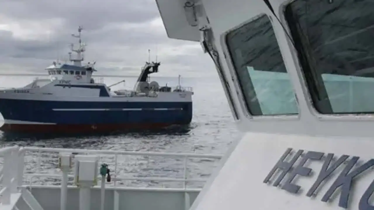 Read more about the article Færøerne: Partrawlerne har gang i fiskeriet efter sej