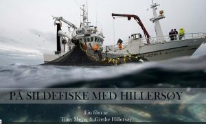 Video - På sildefiskeri med den norske båd Hillersøy.  Foto: Hillersøy