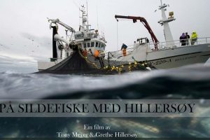 Video - På sildefiskeri med den norske båd Hillersøy.  Foto: Hillersøy