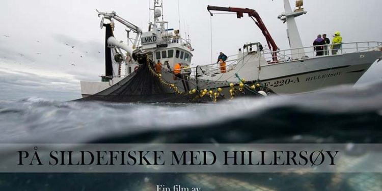 Video - På sildefiskeri med den norske båd Hillersøy.  Foto: Hillersøy