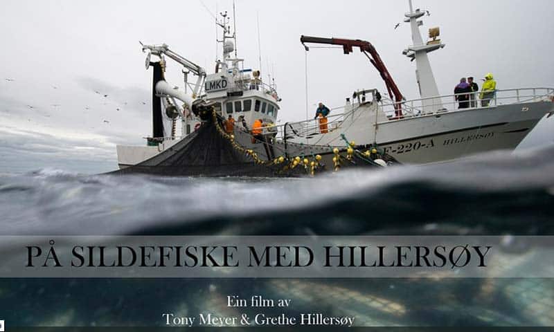 Read more about the article Video – På sildefiskeri med den norske båd Hillersøy