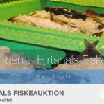 På Hirtshals Fiskeauktion ryster auktionsmester Finn Møller på hovedet over de mange kontrolbesøg fra Fiskerikontrollen. Ifølge ham har der været dage med op til tre kontroller samme dag. foto: Hirtshals Fiskeauktion