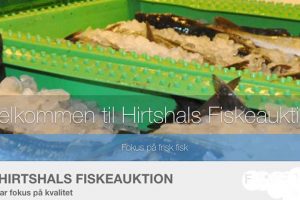 På Hirtshals Fiskeauktion ryster auktionsmester Finn Møller på hovedet over de mange kontrolbesøg fra Fiskerikontrollen. Ifølge ham har der været dage med op til tre kontroller samme dag. foto: Hirtshals Fiskeauktion