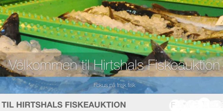 På Hirtshals Fiskeauktion ryster auktionsmester Finn Møller på hovedet over de mange kontrolbesøg fra Fiskerikontrollen. Ifølge ham har der været dage med op til tre kontroller samme dag. foto: Hirtshals Fiskeauktion