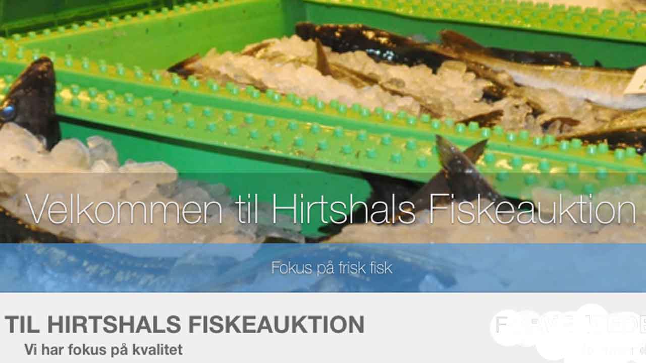 Read more about the article Over 200 kontrolbesøg vækker undren på Hirtshals Fiskeauktion