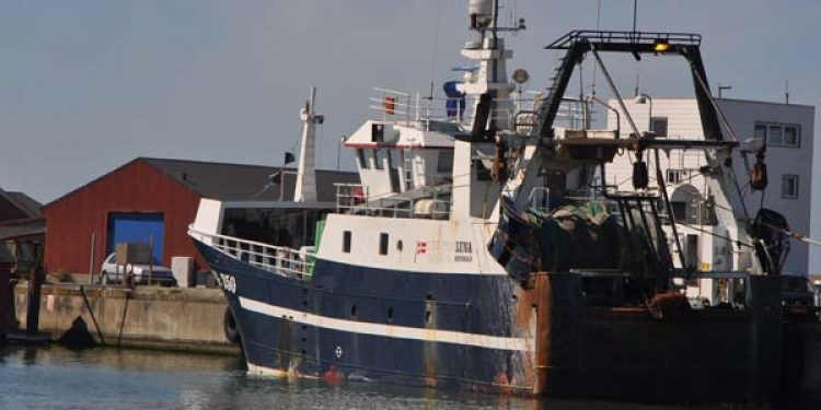 Center for udvikling sikrer styrket samarbejde på Hirtshals Havn. Arkivfoto: Hirtshals Havn - FiskerForum