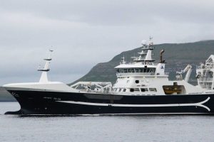 Færøerne har et forrygende blåhvilling-fiskeri