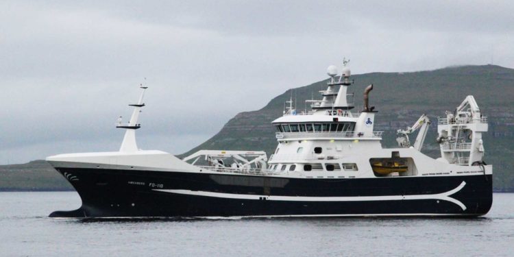 Færøerne har et forrygende blåhvilling-fiskeri