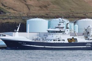 Færøerne: Flere blåhvillinge fangster til Havsbrún i Fuglefjord