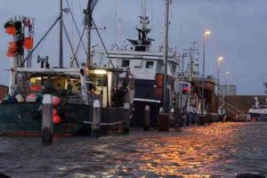 højvandsbillede fra havnen - arkivfoto