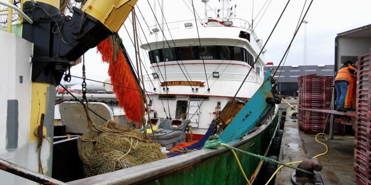 Hollandsk Bomtrawler