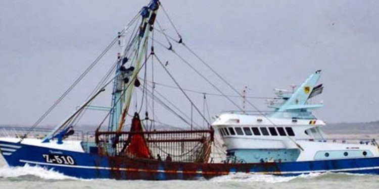 Styrket kontrol med ulovligt fiskeri i Skagerrak og Nordsøen