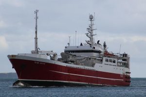 Færøerne: De færøske industritrawlere landede blåhvilling til Havsbrún