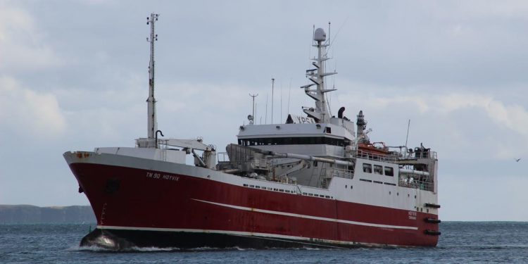 Færøerne: De færøske industritrawlere landede blåhvilling til Havsbrún