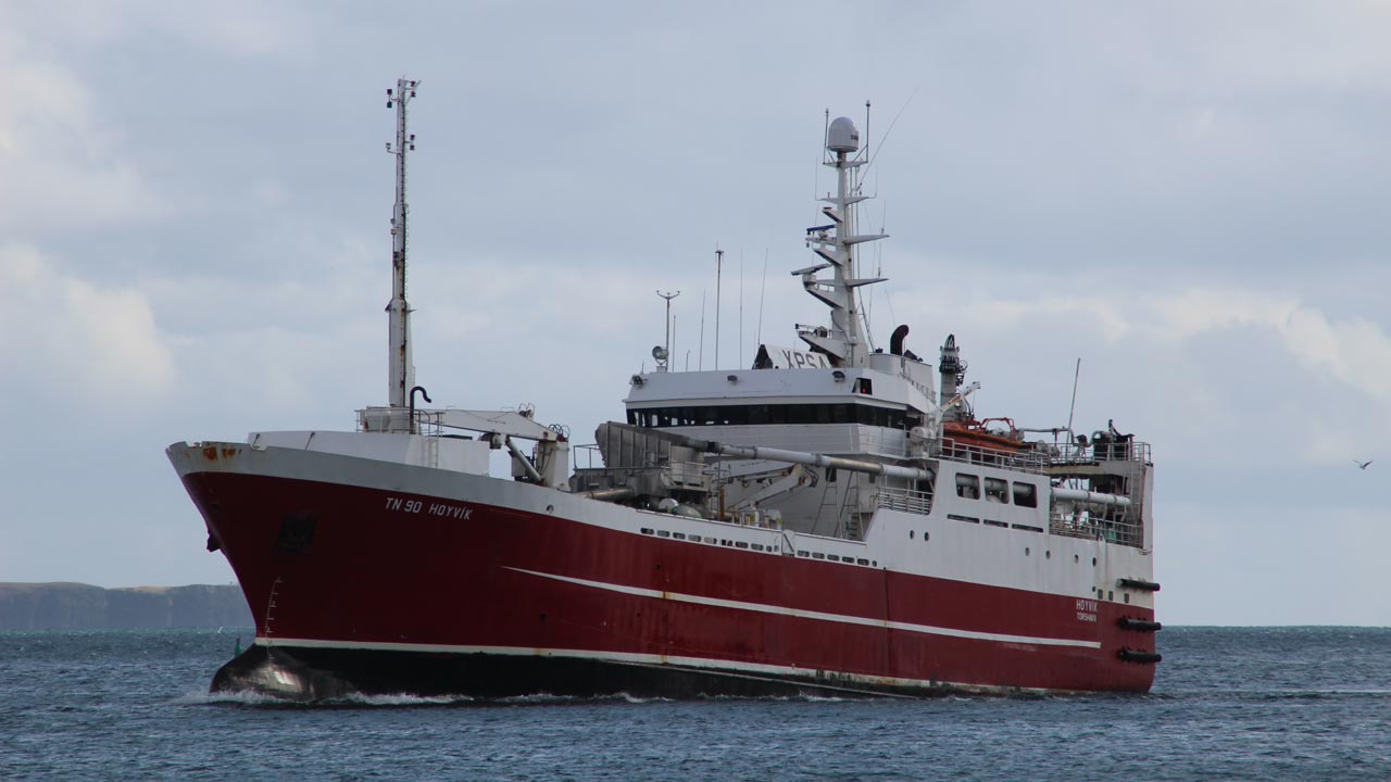 Read more about the article Færøerne: De færøske industritrawlere landede blåhvilling til Havsbrún
