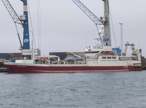I Fuglefjord landede trawleren **Hoyvík** i sidste uge en last på 800 tons makrel til Pelagos, som de har partrawlet sammen med **Ran**.  foto: Sverri Egholm 