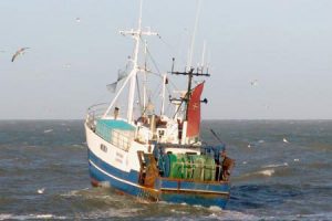 Trussel om retssag - fik Fiskeristyrelsen til at trække hørings-krav om elektronisk monitorering. foto: G Vejen