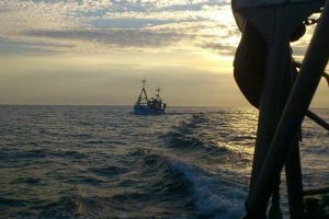 Udenlandske fiskere tjener fedt på Hummerkassen.  foto: Gilleleje fiskerne må noget længere ud for at hente deres hummerfangster - før hen lå de kun en halv times sejlads fra Gilleleje - CSH