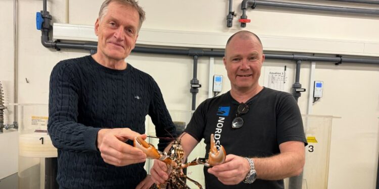 Foredrag om hummer projekt af Martin Riis og Ivar Lund - DTU Nordsøen Oceanarium 