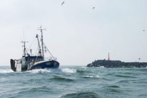 seks forslag fra DFPO og DPPO skal afbøde de værste konsekvenser for dansk fiskeri
