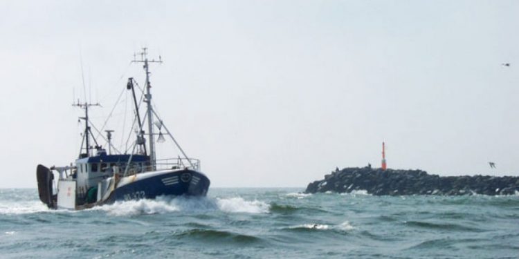 seks forslag fra DFPO og DPPO skal afbøde de værste konsekvenser for dansk fiskeri