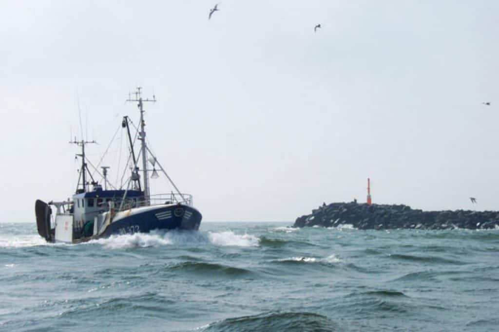 Read more about the article Fiskeriorganisationerne går aktivt ind i kampen for fiskeriet